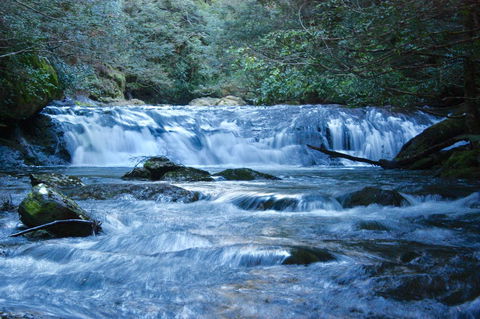 Lemonthyme Wilderness Retreat - Australia Accommodation 10