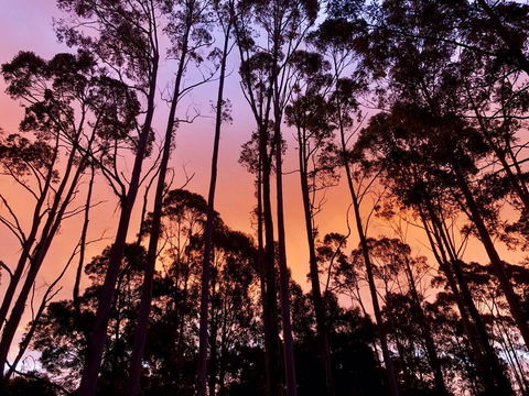 Lemonthyme Wilderness Retreat - Australia Accommodation 8