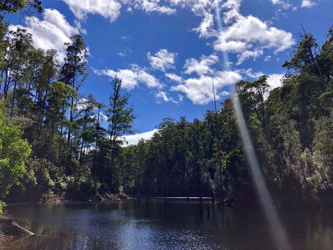 Lemonthyme Wilderness Retreat - Australia Accommodation 7