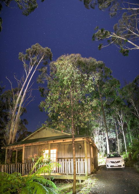 Lemonthyme Wilderness Retreat - Australia Accommodation 3