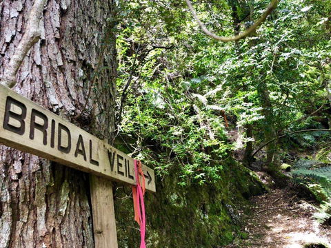 Lemonthyme Wilderness Retreat - Australia Accommodation 18