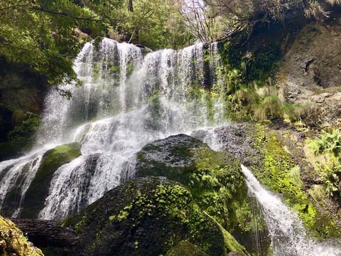 Lemonthyme Wilderness Retreat - Australia Accommodation 14