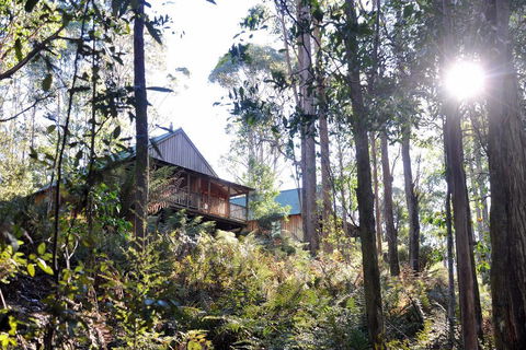 Lemonthyme Wilderness Retreat - Australia Accommodation 25