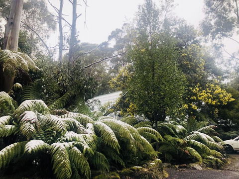 Lemonthyme Wilderness Retreat - Australia Accommodation 16