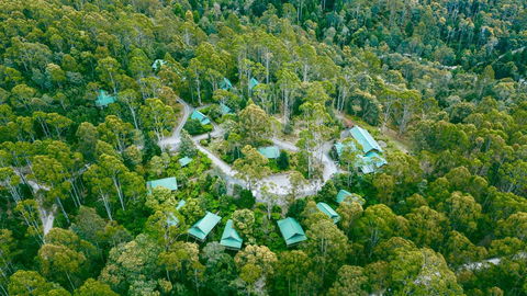 Lemonthyme Wilderness Retreat - Australia Accommodation 0