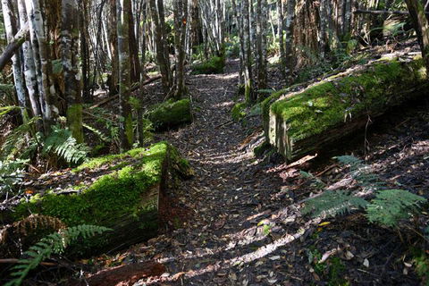 Lemonthyme Wilderness Retreat - Australia Accommodation 22