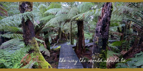 Lemonthyme Wilderness Retreat - Australia Accommodation 17