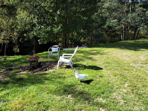 Wanderlust Cottage - Australia Accommodation 18
