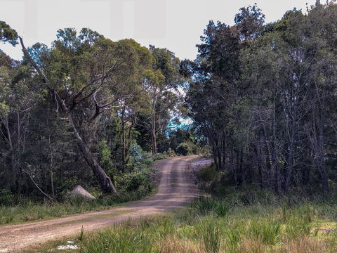 BAY OF FIRES ECO HUT Off Grid Experience At Binalong Bay - Australia Accommodation 12
