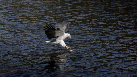 Arthur Riverfront And Sea Lodge Downstream - Australia Accommodation 38