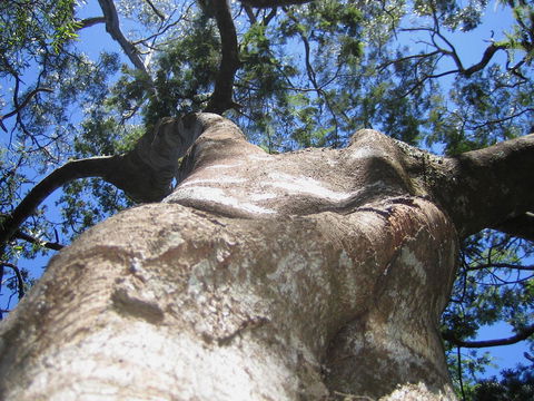 Arthur Riverfront And Sea Lodge Downstream - Australia Accommodation 32
