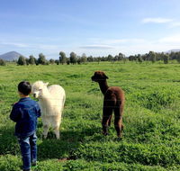 Taras Richmond Farmstay - Australia Accommodation