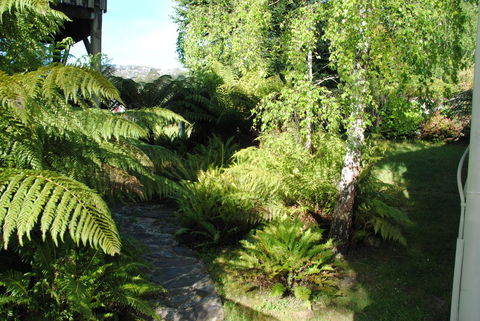 The Wombat Cottage - Australia Accommodation 4