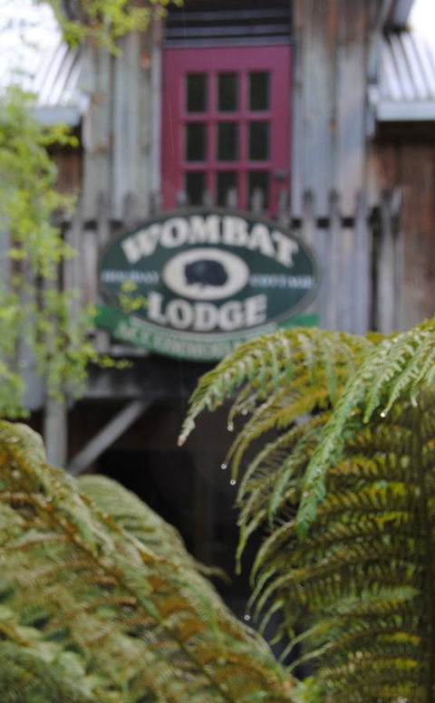 The Wombat Cottage - Australia Accommodation 0