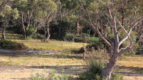 BAY OF FIRES SEACHANGE Ocean Frontage - Australia Accommodation 12