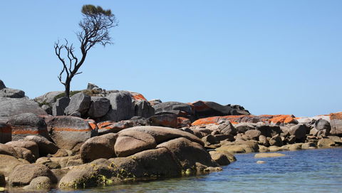 BAY OF FIRES SEACHANGE Ocean Frontage - Australia Accommodation 21