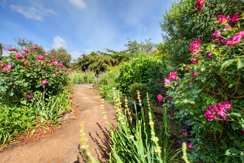 Wagners Cottages - Australia Accommodation 30