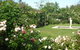 Wagners Cottages - thumb 6