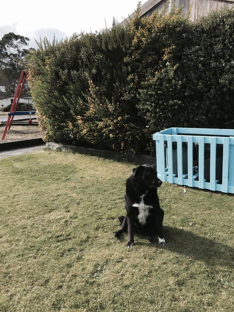 Strahan Beach Tourist Park - Australia Accommodation 9