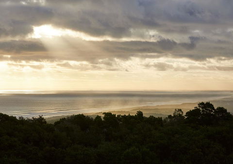 RACV Cape Schanck Resort - Australia Accommodation 6