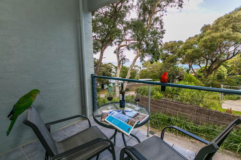 Lorne Surf Apartments - Australia Accommodation 21