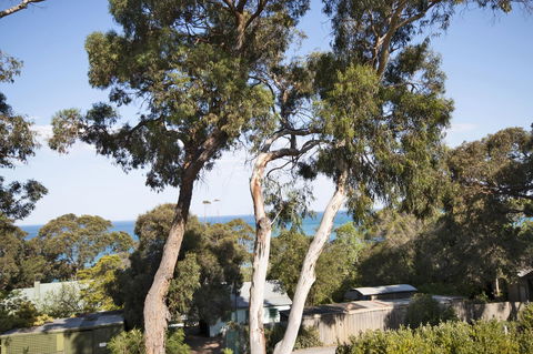 Lorne Surf Apartments - Australia Accommodation 6