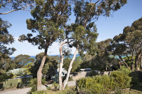 Lorne Surf Apartments - Australia Accommodation 11