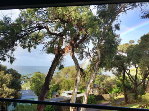 Lorne Surf Apartments - Australia Accommodation 4