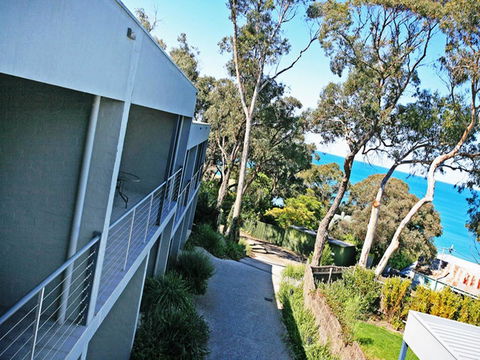 Lorne Surf Apartments - Australia Accommodation 10