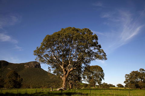 Dunkeld Studio Accommodation - Australia Accommodation 23