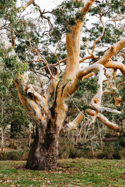 Dunkeld Studio Accommodation - Australia Accommodation 22