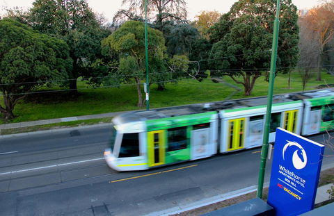 Whitehorse Apartments Hotel - Australia Accommodation 13