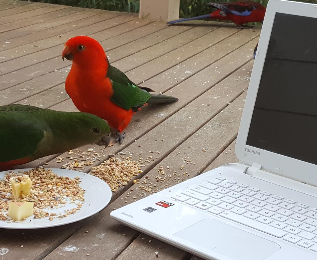  Australia Accommodation