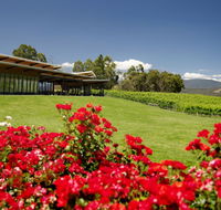 Balgownie Estate Vineyard Resort  Spa - Australia Accommodation