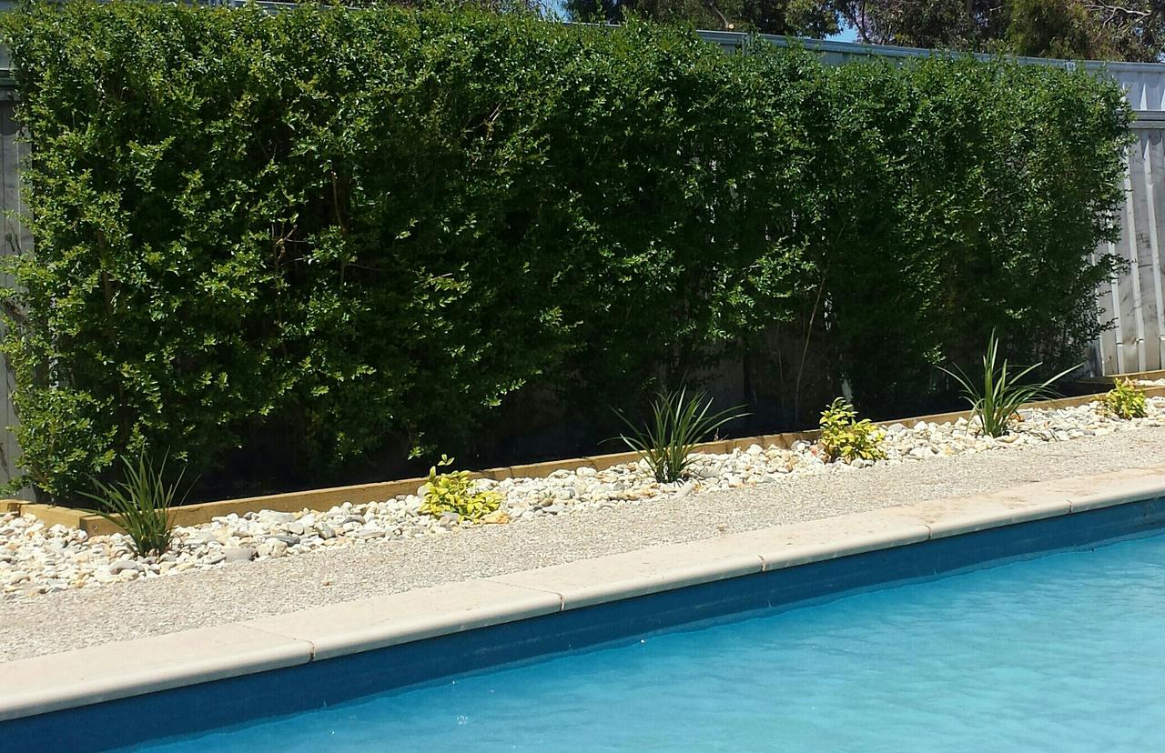 Bannerton VIC Australia Accommodation
