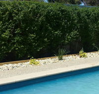 Robinvale Bridge Motel - Australia Accommodation