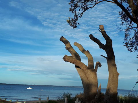 Apartments In Phillip Island Towers - Block C - Australia Accommodation 10
