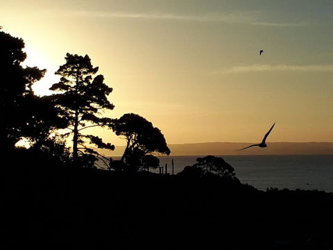 Apartments In Phillip Island Towers - Block C - Australia Accommodation 19