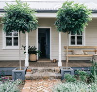 Acre of Roses - Australia Accommodation