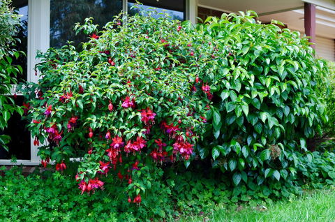 Crimea Retreat - Australia Accommodation 18