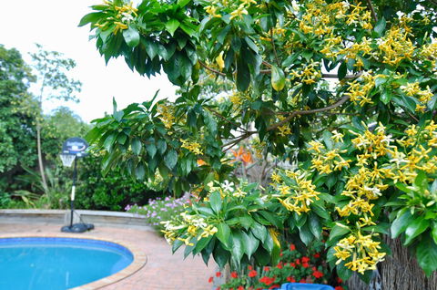 Crimea Retreat - Australia Accommodation 20