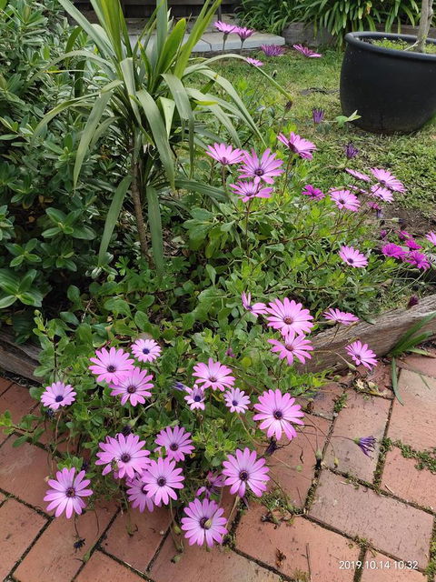 Coachman Motel And Holiday Units - Australia Accommodation 15