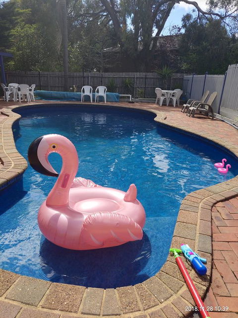 Coachman Motel And Holiday Units - Australia Accommodation 7