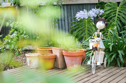 Miss Pym's Cottage - Australia Accommodation 7