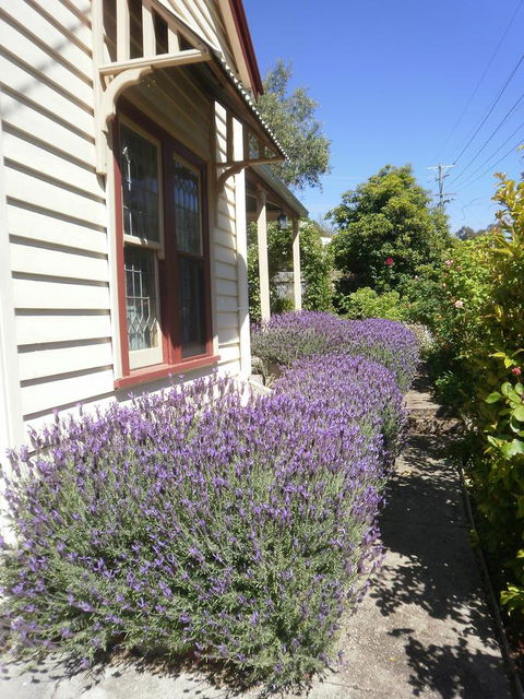 Miss Pym's Cottage - Australia Accommodation 44