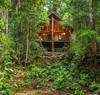 The Canopy Rainforest Treehouses  Wildlife Sanctuary - Australia Accommodation