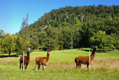 The Heavens Mountain Escape - Australia Accommodation 2