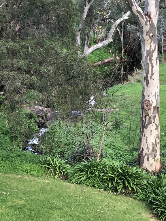 Cockatoo Valley SA Australia Accommodation