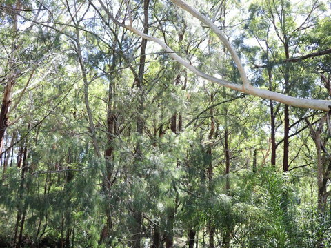 The Shaka Shack - Australia Accommodation 1