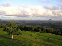 Book Maleny Accommodation Vacations Australia Accommodation Australia Accommodation